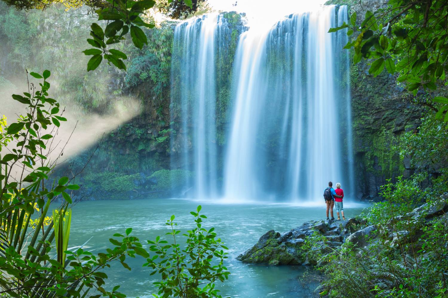 Whangārei Falls, Whangārei (Pure Discoveries) Waterfall with person standing at the bottom