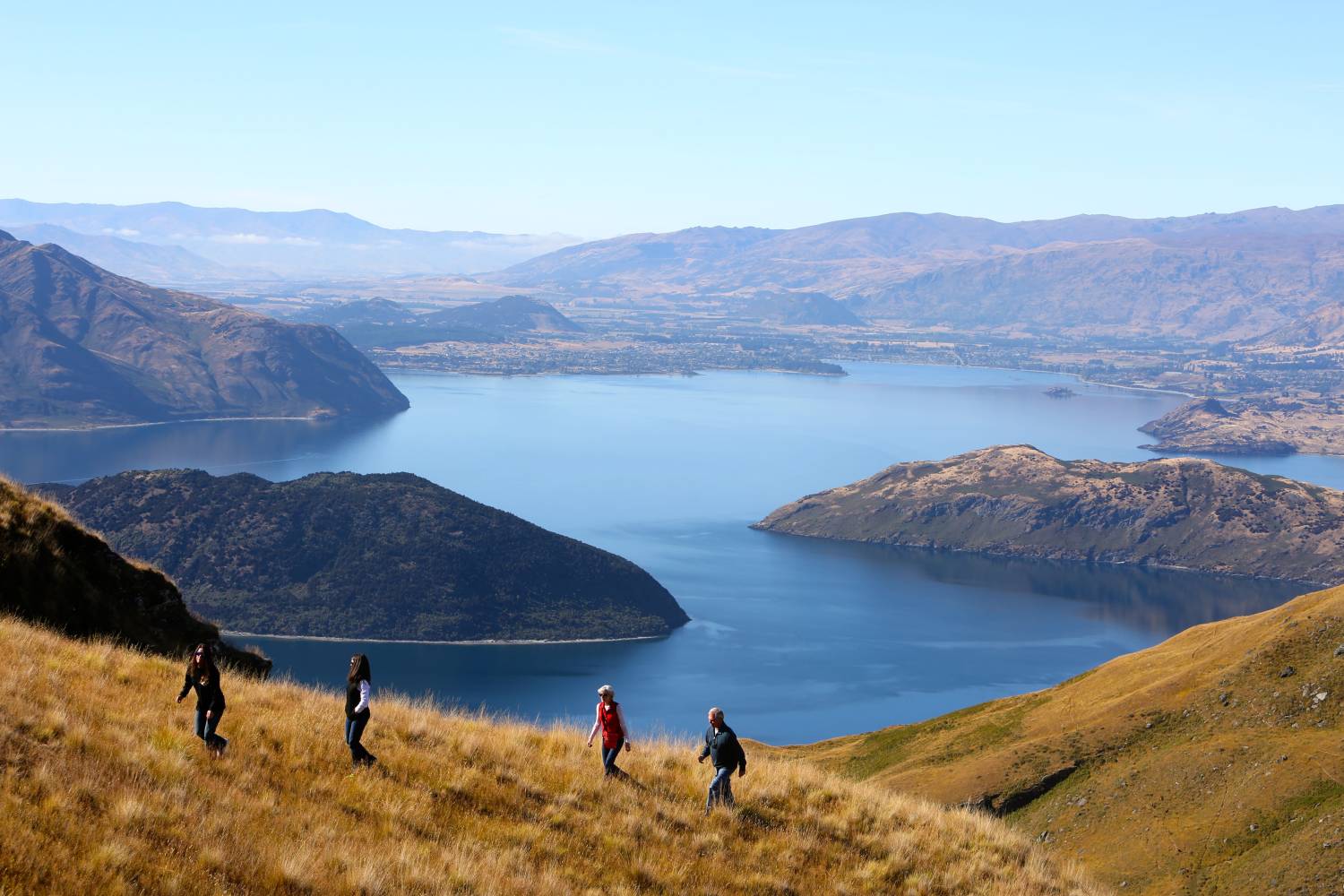 a. Lake Wānaka cruise & island nature walk experience (Pure Discoveries) Hikers standing above deep blue lake and mountains