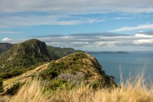 waitakere-ranges-auckland